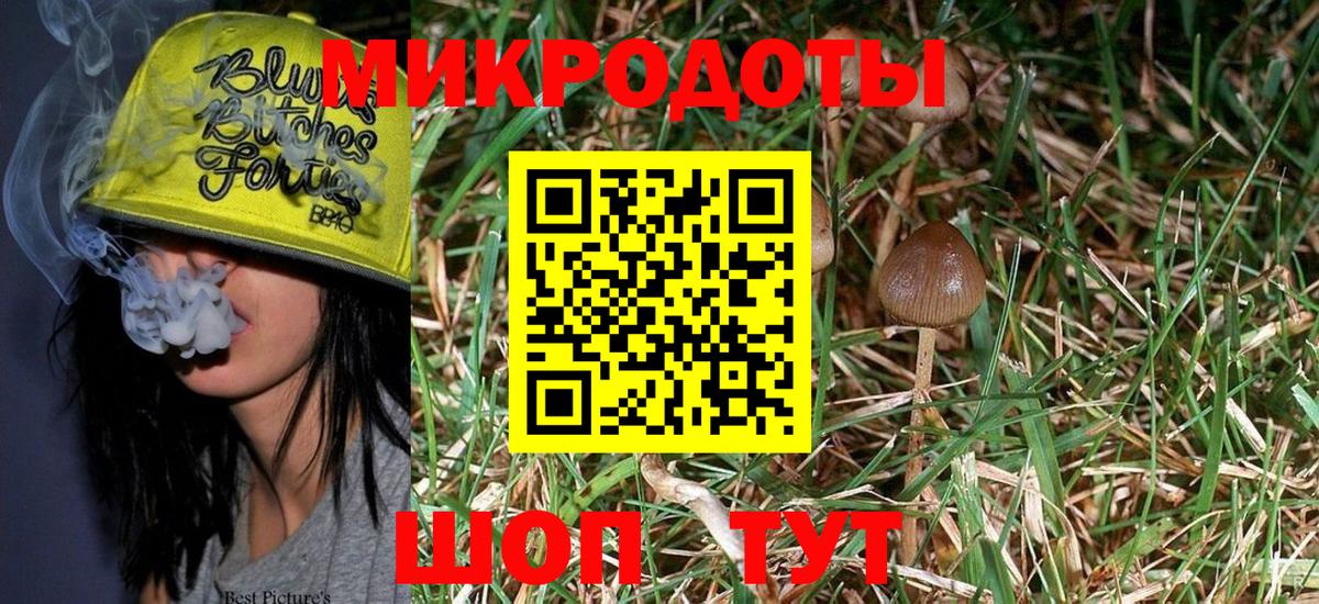 Псилоцибиновые грибы Psilocybe Симферополь