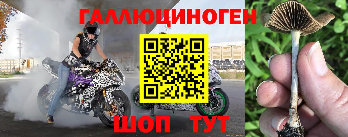 Псилоцибиновые грибы Psilocybe  Вход с VPN  Симферополь 